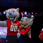 Mr. Wuf and Ms. Wuf join band The Rescues on stage at Packapalooza.