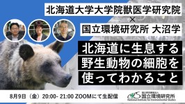 北海道大学大学院獣医学研究院×国立環境研究所 大沼学 　〜北海道に生息する野生動物の細胞を使ってわかること〜