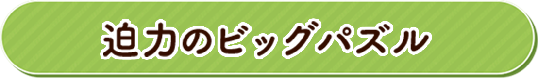 迫力のビッグパズル