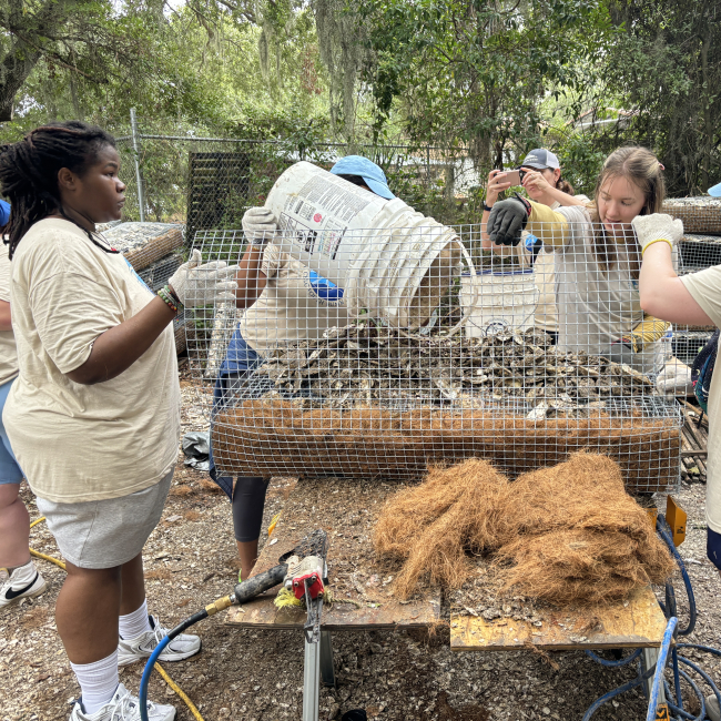 Teens stand outside around a metal wire box, which is the reef. Two hold the lid open as one fills it with oyster shells from a bucket. Coconut husk and tools are on the table.