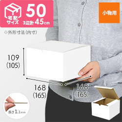 小物用ケース（白、深さ10.5cm）