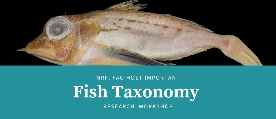 NRF, FAO Host Important Fish Taxonomy Research Workshop