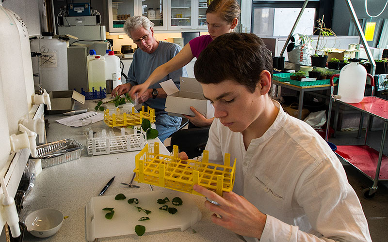 Forskning ved Institutt for biologi