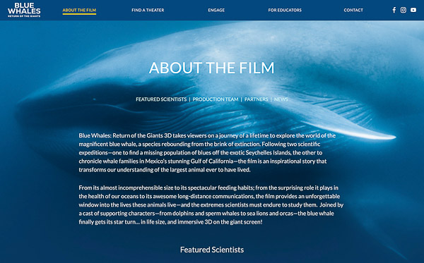 Blue Whale Film / SK Films