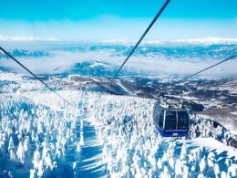 JALで行く東北スキー！東北最大級のスノーリゾートへ！白銀の樹氷や郷土料理に温泉街の散策などスキーはもちろんアフタースキーも大満足♪山形蔵王温泉ステイ