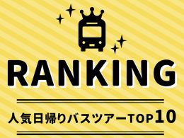 人気ランキングTOP10