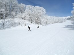 「鐘の鳴る丘ゲレンデ」は約1,000mの緩斜面かつ幅約1,200ｍで初心者の方やファミリーに人気。鐘を鳴らすのを忘れずに。白馬・栂池エリアの代表的なスキー場のひとつ。