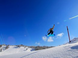 31のコースはもちろん天然雪。フリーライドパーク、キッズパークなど目的に合わせたエリアも充実。7コースある非圧雪のツリーランコースは特に人気です。