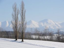 北海道の周遊旅行に最適！北海道内の空港＆北海道のシティやリゾートホテル・温泉宿を自由に組み合わせOK！レンタカー付きプラン