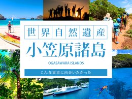 東京から南へ約1,000km離れた太平洋に浮かぶ島々「小笠原諸島」。最後の秘境・楽園とも呼ばれ、2011年6月には世界自然遺産に登録されました。小笠原の大自然が織りなす非日常的な世界で、ここにしかない感動体験を味わってみませんか？