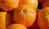 A bunvh of oranges.