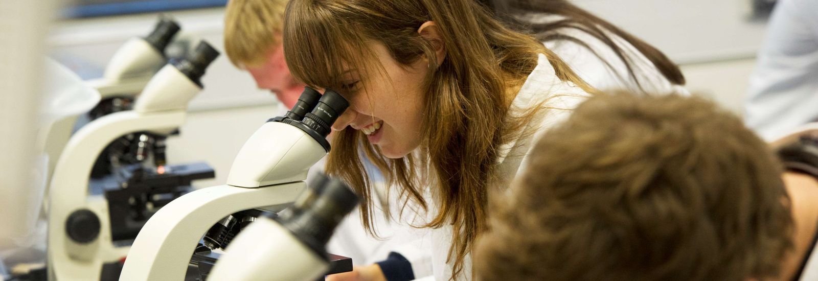 Students studying bones and cartilage in the Medical Centre