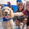 students smiling and petting dog