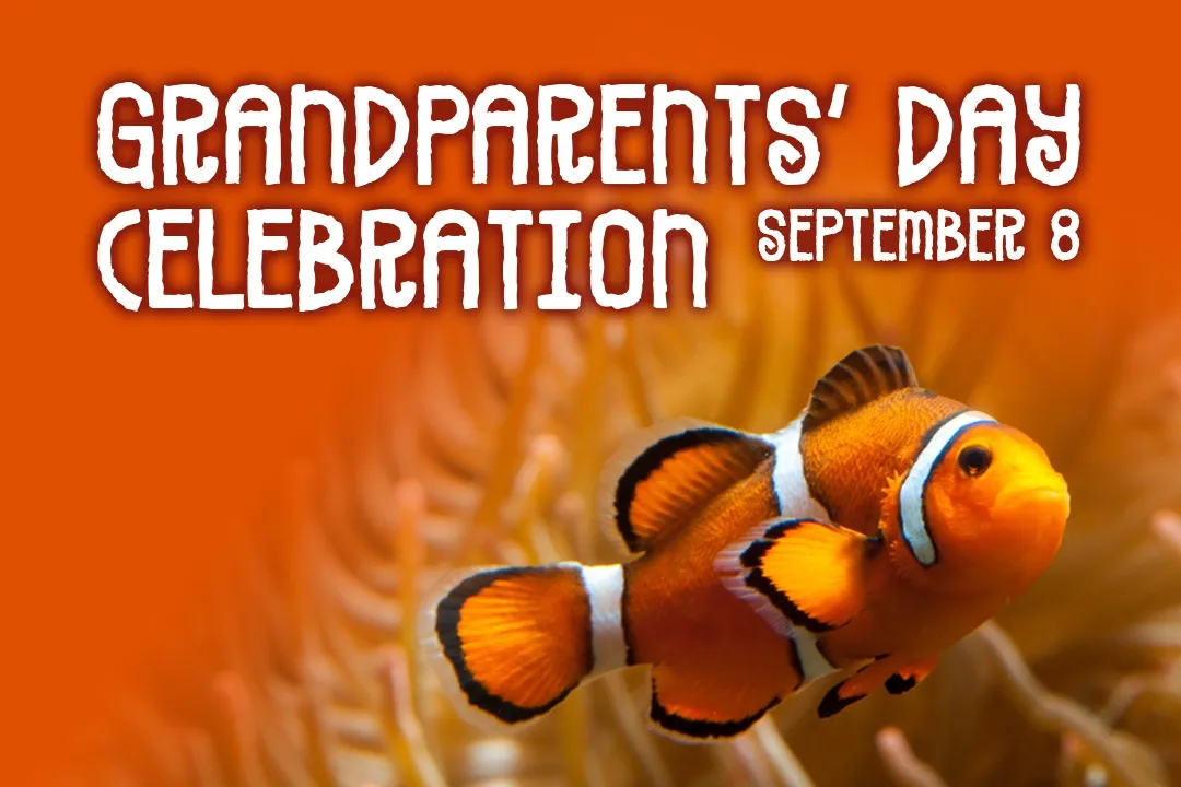 Grandparents' Day