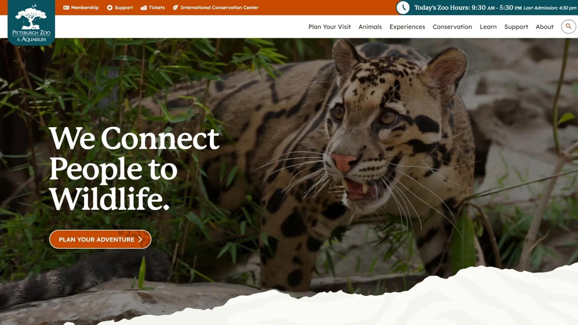 a screenshot of the new pittsburghzoo.org website. it features a picture of a clouded leopard, our main menu, and a button to plan your adventure. a portion of the zoo mission, we connect people to wildlife, is on the top of the page