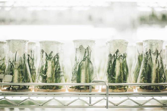 science tools for the kitchen