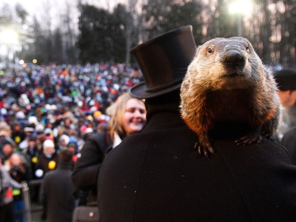 groundhog on Groundhog Day