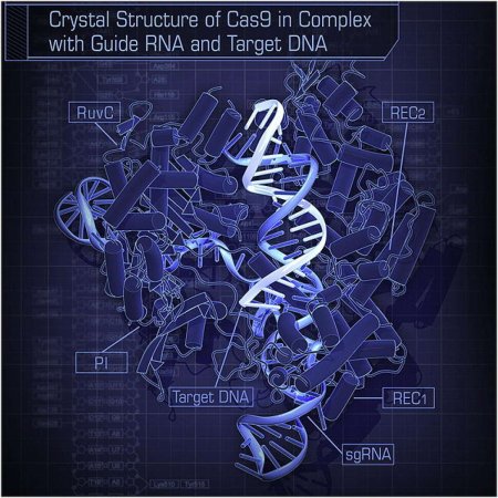 CRISPR