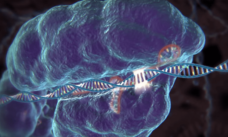 crispr gene editing