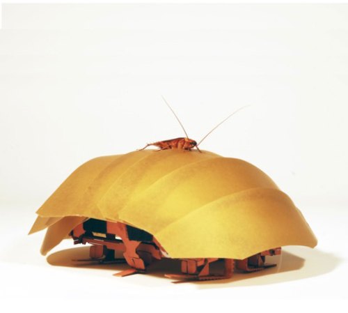 This Roach-Inspired Robot Crawls Even When Squished