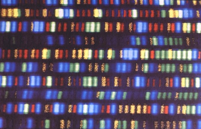 Your Full Genome Can Be Sequenced and Analyzed For Just $1,000