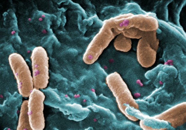 The Microbial Economics of Cheating in Cystic Fibrosis