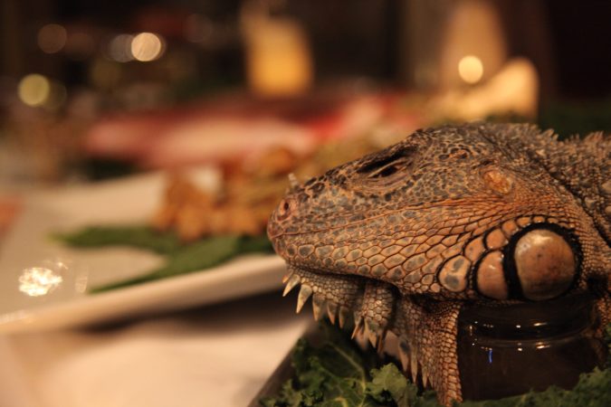 At The Explorers Club Annual Dinner, Invasive Species Are On The Menu