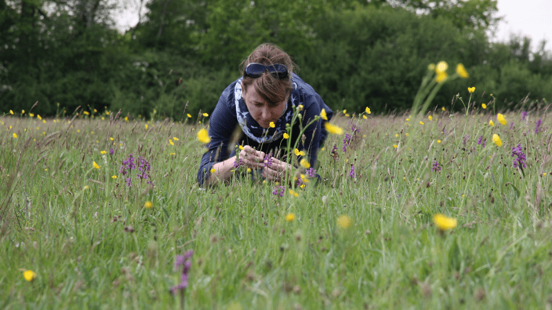 A woman in a field observes a plant.