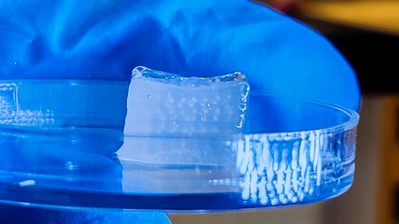 Close up of 3D printed cartilage cell block