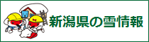 新潟県の雪情報へ