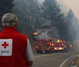 volunteer watches firefighters work on wildfire