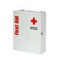 Workplace First Aid Kit and Medium Metal Cabinet, ANSI 2021