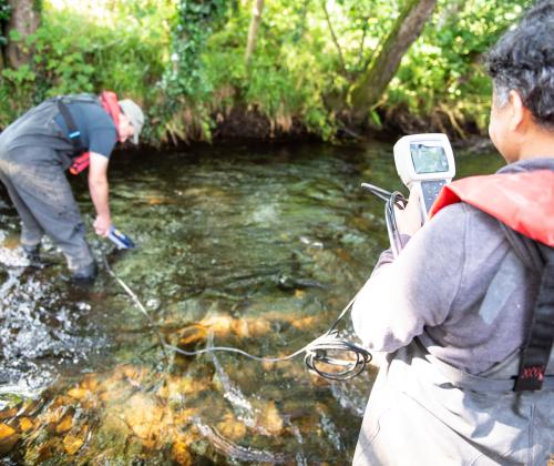 sediment monitoring