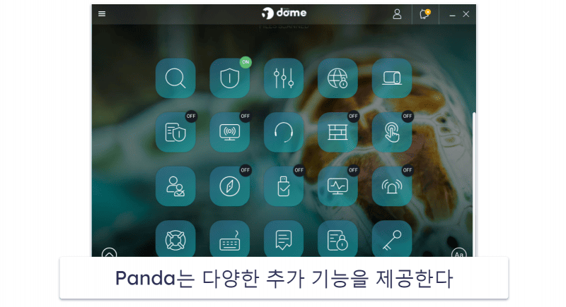 6. Panda Dome — 유연한 가격대의 베스트 서비스