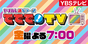 ててて！TVバナー