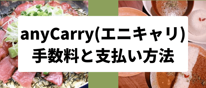 anyCarry(エニキャリ)の手数料と支払い方法