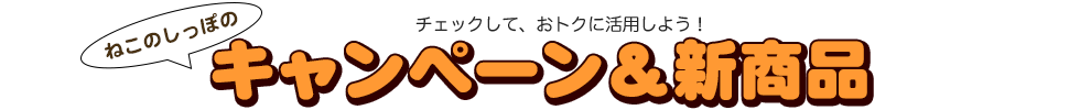 現在実施中のキャンペーン