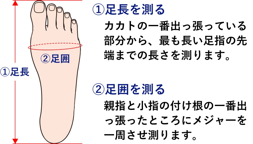 正しい足のサイズの測り方