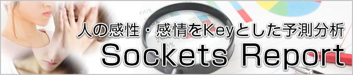 人の感性をkeyとした予測分析｜Sockets Report