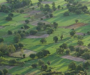 Des prédictions micro-météorologiques à l'échelle de la parcelle agricole