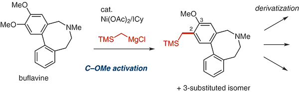 https://www.thieme-connect.de/media/synthesis/202117/i_f0122_ga_10-1055_a-1467-2494.gif