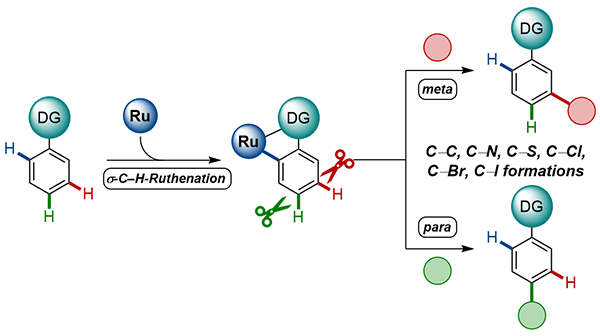 https://www.thieme-connect.de/media/synthesis/202117/i_f0171_ga_10-1055_a-1485-5156.gif