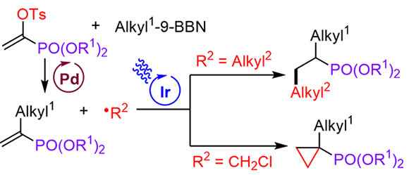 https://www.thieme-connect.de/media/synthesis/202306/i_c0379_ga_10-1055_a-1959-2742.gif