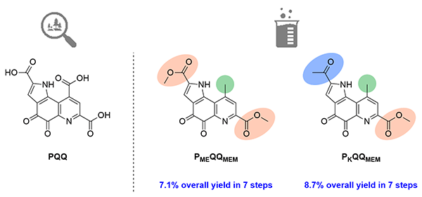 https://www.thieme-connect.de/media/synthesis/202306/i_t0415_ga_10-1055_s-0041-1738426.gif