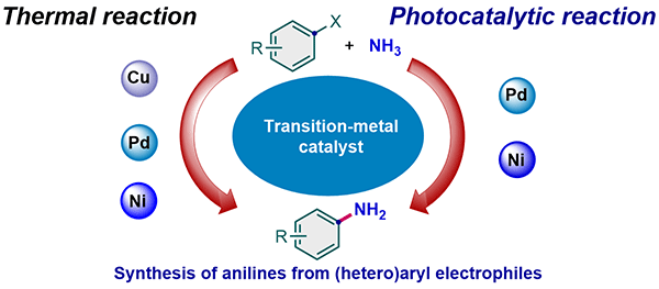 https://www.thieme-connect.de/media/synthesis/202419/i_r0079_ga_10-1055_a-2307-8257.gif