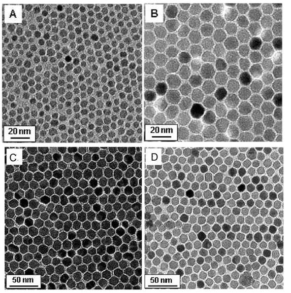 Theranostics Image