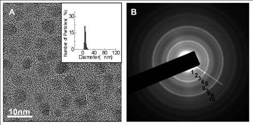 Theranostics Image