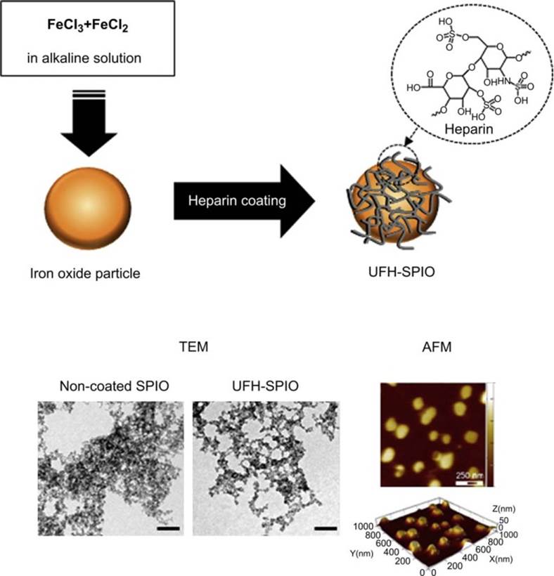 Theranostics Image