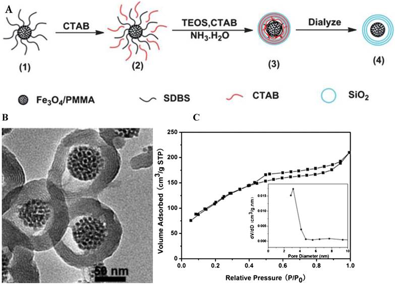 Theranostics Image