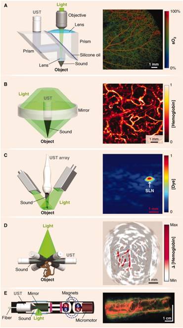 Theranostics Image